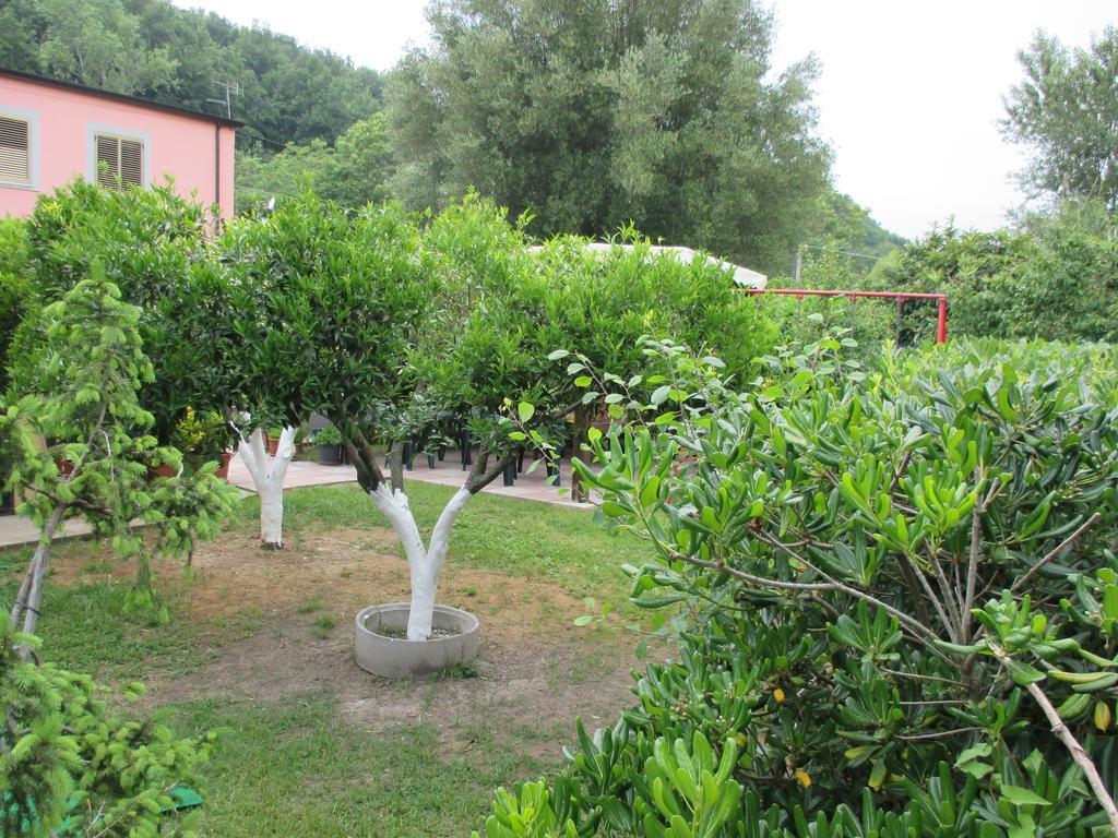 Palinuro Casa Vacanze "Donna Antonia" Buitenkant foto